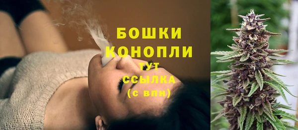 ECSTASY Богданович