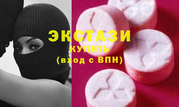 ECSTASY Богданович